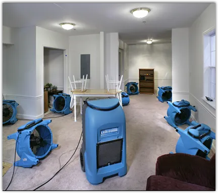 Mold Remediation & Removal in Limerick, PA