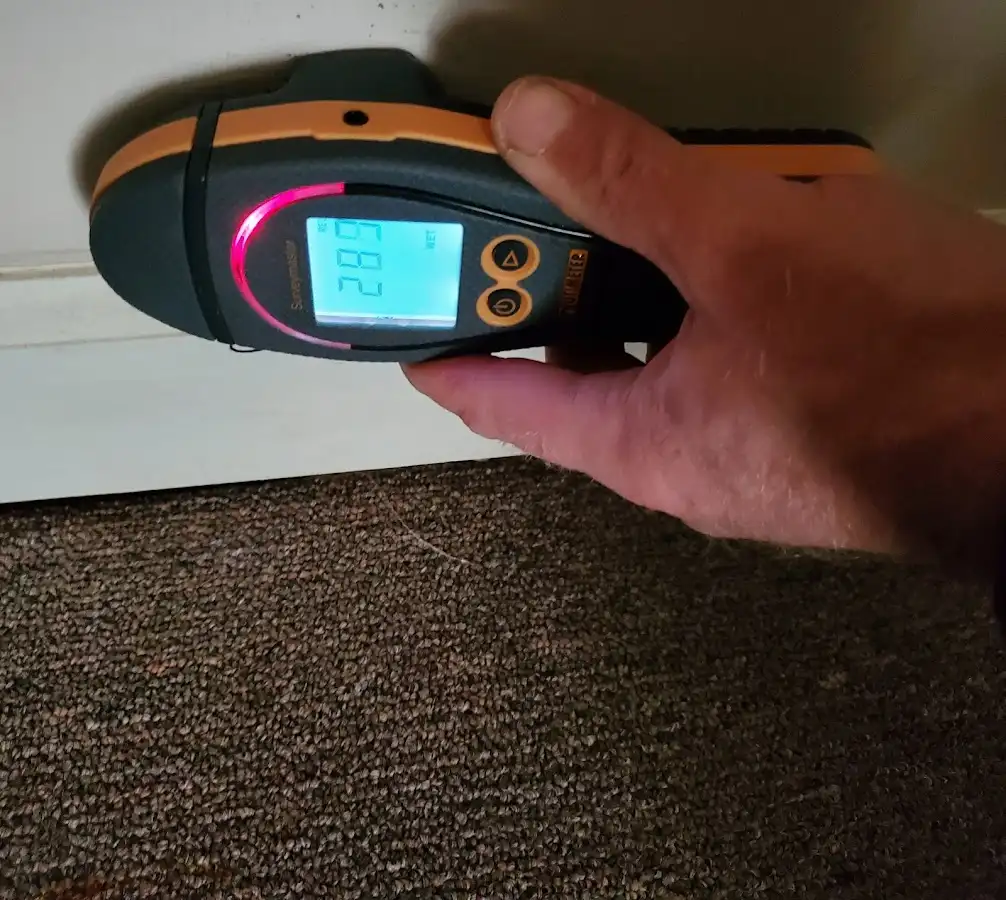 Moisture detection at baseboard during Sewage Cleanup & Sanitation in Limerick